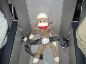 All buckled up and ready for takeoff!