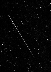 We saw a few like this. By Nick Ares from Auburn, CA, United States (Perseid Meteor 8/12/08) [CC BY-SA 2.0 (http://creativecommons.org/licenses/by-sa/2.0) or CC BY-SA 2.0 (http://creativecommons.org/licenses/by-sa/2.0)], via Wikimedia Commons