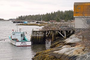 25294419314_5fe3a84abb_o