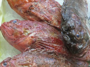 26488193064_fc1fe16434_o