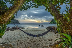beach-hammock