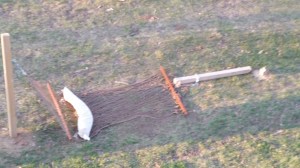 broken-hammock