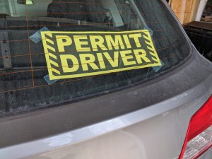 permit driver